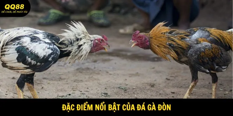 Đặc điểm nổi bật của đá gà đòn