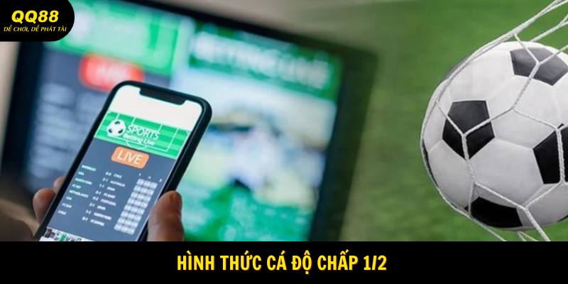 Cửa cược chấp ½ tại QQ88 khá phổ biến 