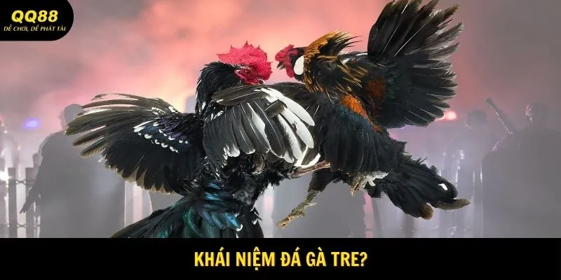 Khái niệm về đá gà tre