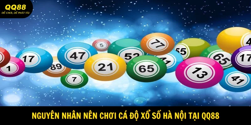  Nguyên nhân nên chơi cá độ xổ số Hà Nội tại QQ88 