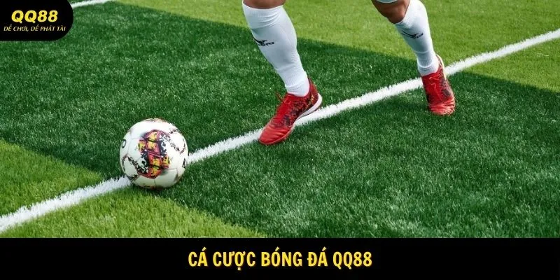 Tìm hiểu về cá cược bóng đá QQ88